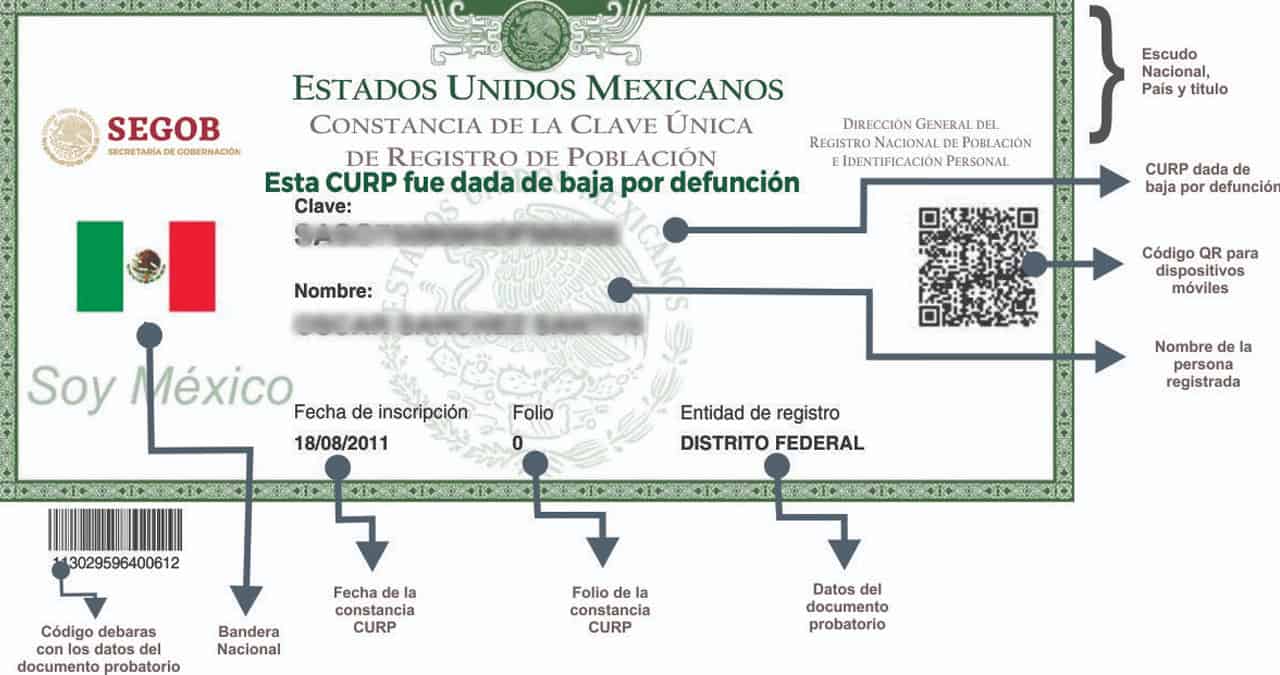 ¿Por qué es importante dar de baja la CURP de una persona fallecida y cómo hacerlo?