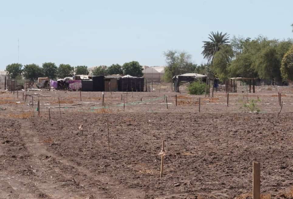 Avanza escrituración de solares en la Marte R. Gómez