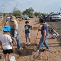 Suma Acción Verde 800 árboles reforestados este 2025