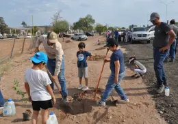Suma Acción Verde 800 árboles reforestados este 2025