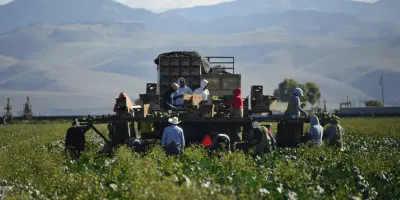¿Qué pasará con los migrantes que trabajan en el campo de EE. UU?