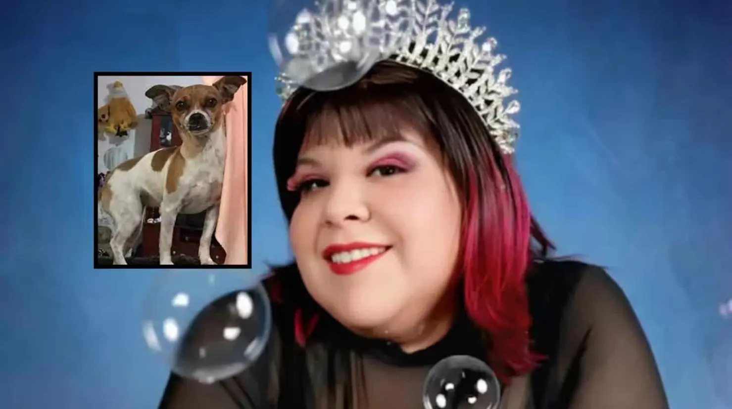 AimeP3 es acusada de negligencia tras la muerte de su perrita Chiwis y usuarios en redes exigen justicia