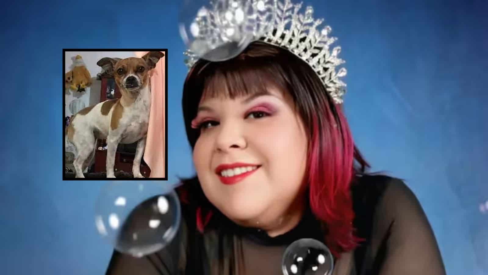 AimeP3 es acusada de negligencia tras la muerte de su perrita Chiwis y usuarios en redes exigen justicia