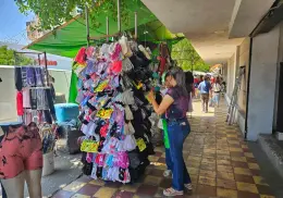 Quieren ambulantes créditos ágiles: Pomposo