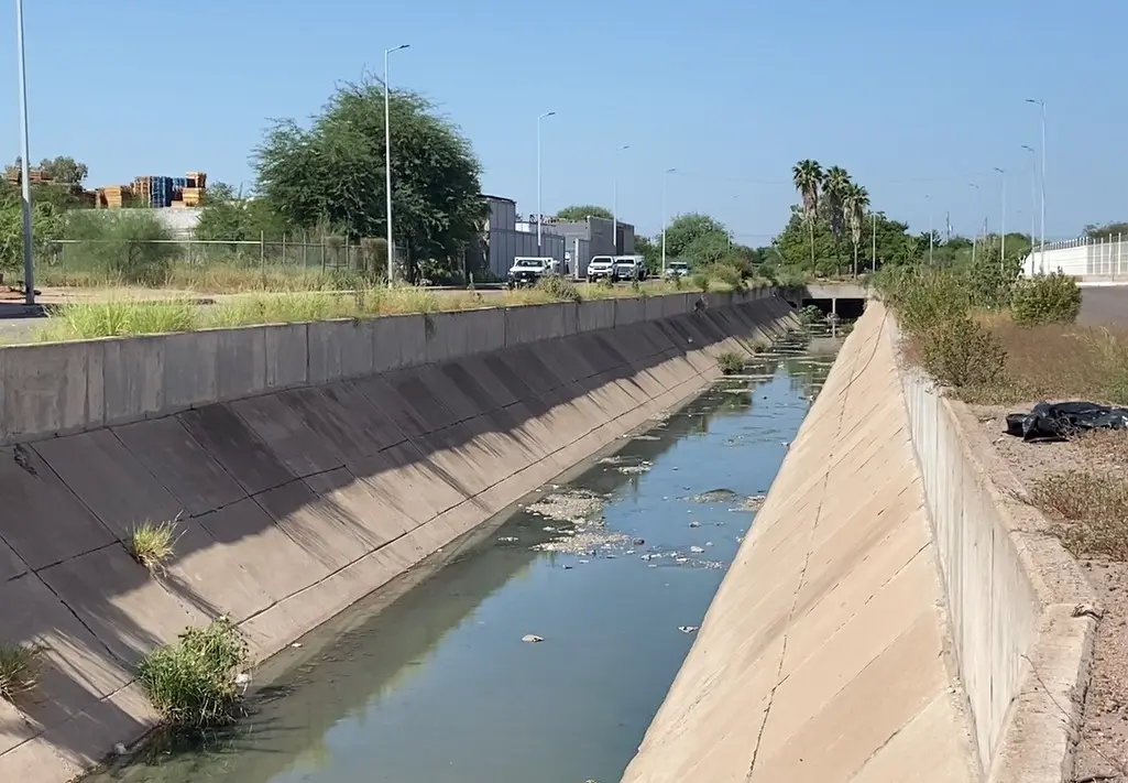 Dren Navojoa, una amenaza latente de dengue