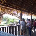 Centro Ecológico de Sonora cumple 40 años