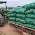 Tienen horticultores un año complicado