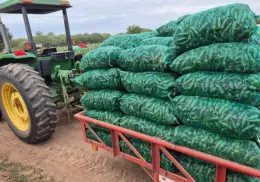 Tienen horticultores un año complicado