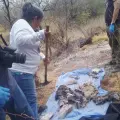 Madres Buscadoras de Sonora tienen jornada positiva en Navojoa