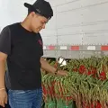 Llegaron a Ciudad Obregón las flores para el Día del Padre