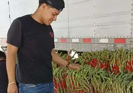 Llegaron a Ciudad Obregón las flores para el Día del Padre