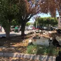 Prevalece el uso de casas y baldíos abandonados como basureros clandestinos