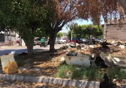 Prevalece el uso de casas y baldíos abandonados como basureros clandestinos