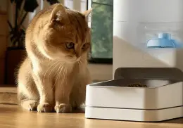 Este dispensador de comida para gatos de Xiaomi puede ser la solución ideal para personas que siempre están ocupadas