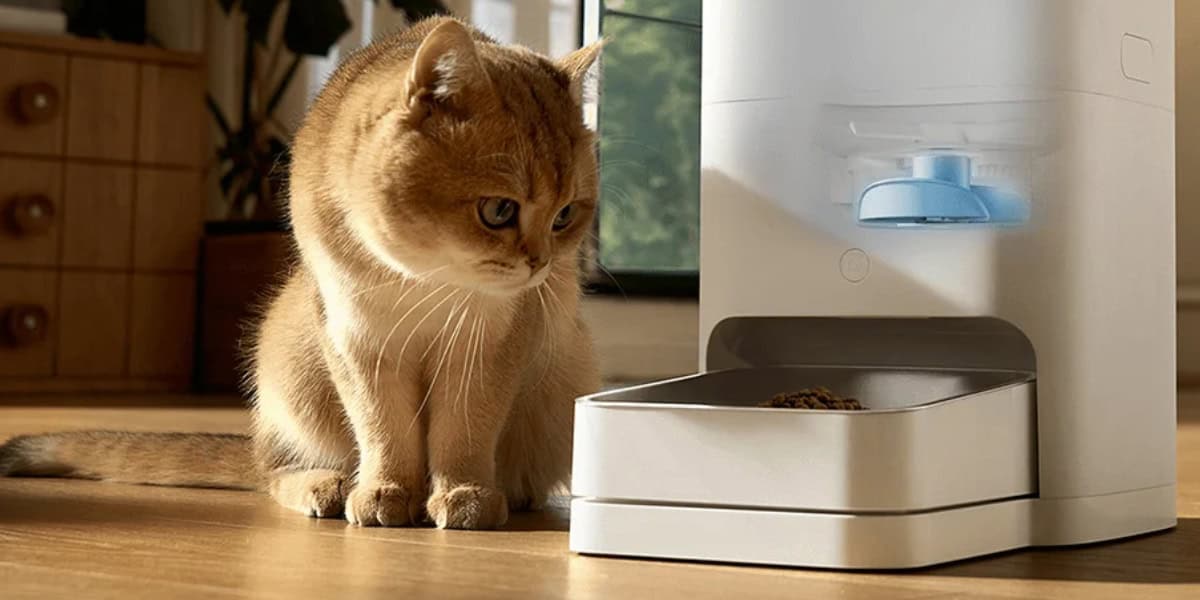 Este dispensador de comida para gatos de Xiaomi puede ser la solución ideal para personas que siempre están ocupadas