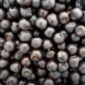 El dulce tradicional Yaqui que ha trascendido los años como remedio natural