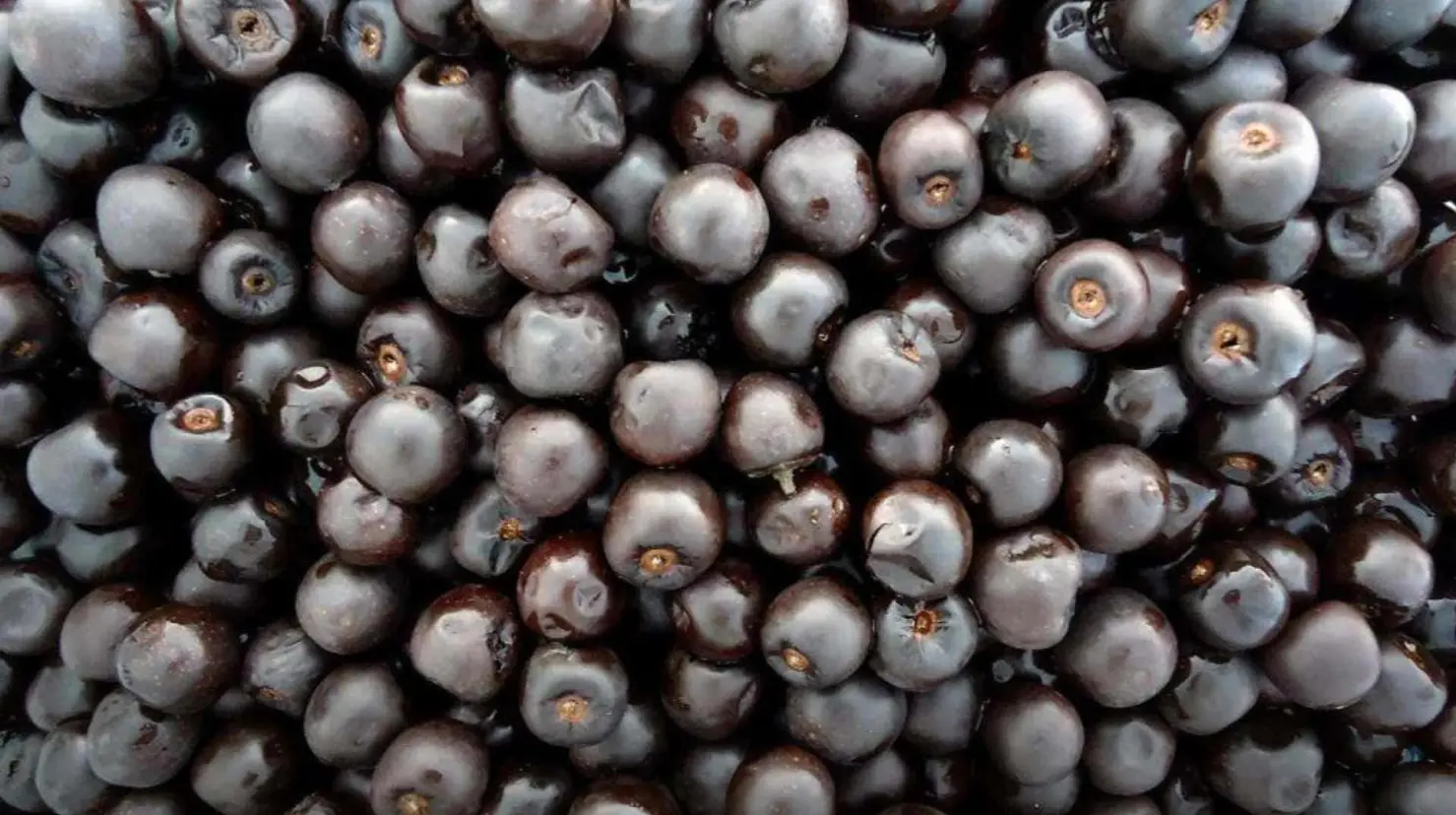 El dulce tradicional Yaqui que ha trascendido los años como remedio natural