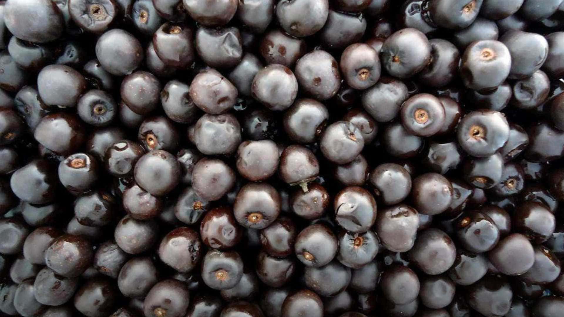 El dulce tradicional Yaqui que ha trascendido los años como remedio natural
