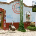 Conoce el pueblo fantasma de Guanajuato, que fue dos veces abandonado y resurgió como Pueblo Mágico