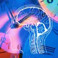 ¿Qué es la Cronobiología? Y cómo se relaciona con nuestro ritmo de vida