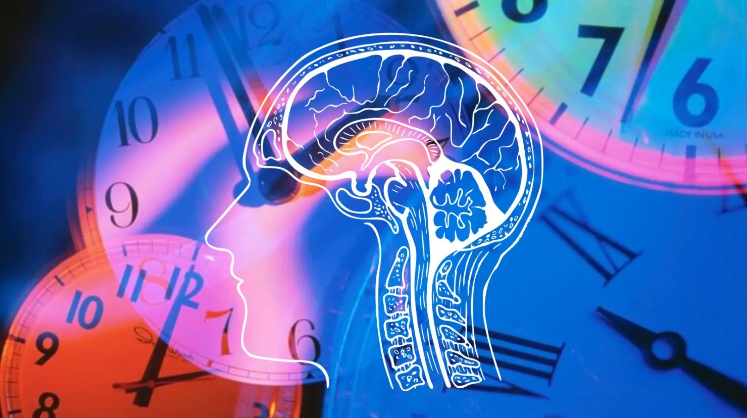 ¿Qué es la Cronobiología? Y cómo se relaciona con nuestro ritmo de vida