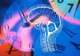 ¿Qué es la Cronobiología? Y cómo se relaciona con nuestro ritmo de vida
