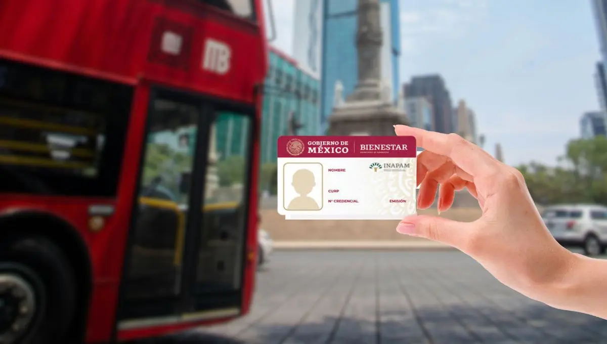 Descubre en qué medios puedes viajar gratis / Pexels, PNGWing