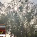 Clima en Sonora hoy, 17 de junio: Onda de calor seguirá castigando al estado