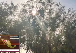 Clima en Sonora hoy, 17 de junio: Onda de calor seguirá castigando al estado