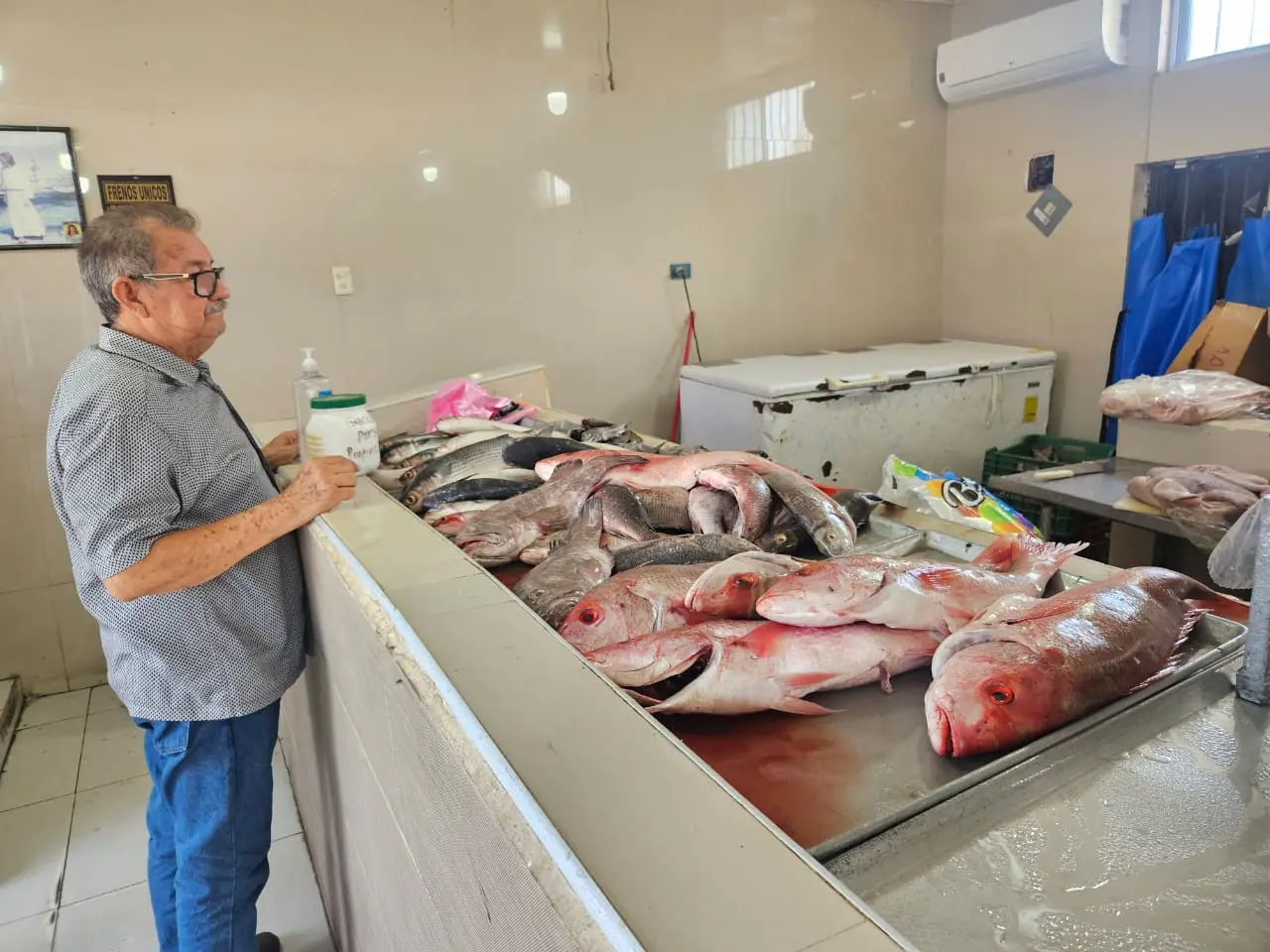 Se cumple expectativa en venta de pescados y mariscos en Cajeme