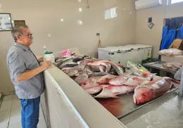 Se cumple expectativa en venta de pescados y mariscos en Cajeme