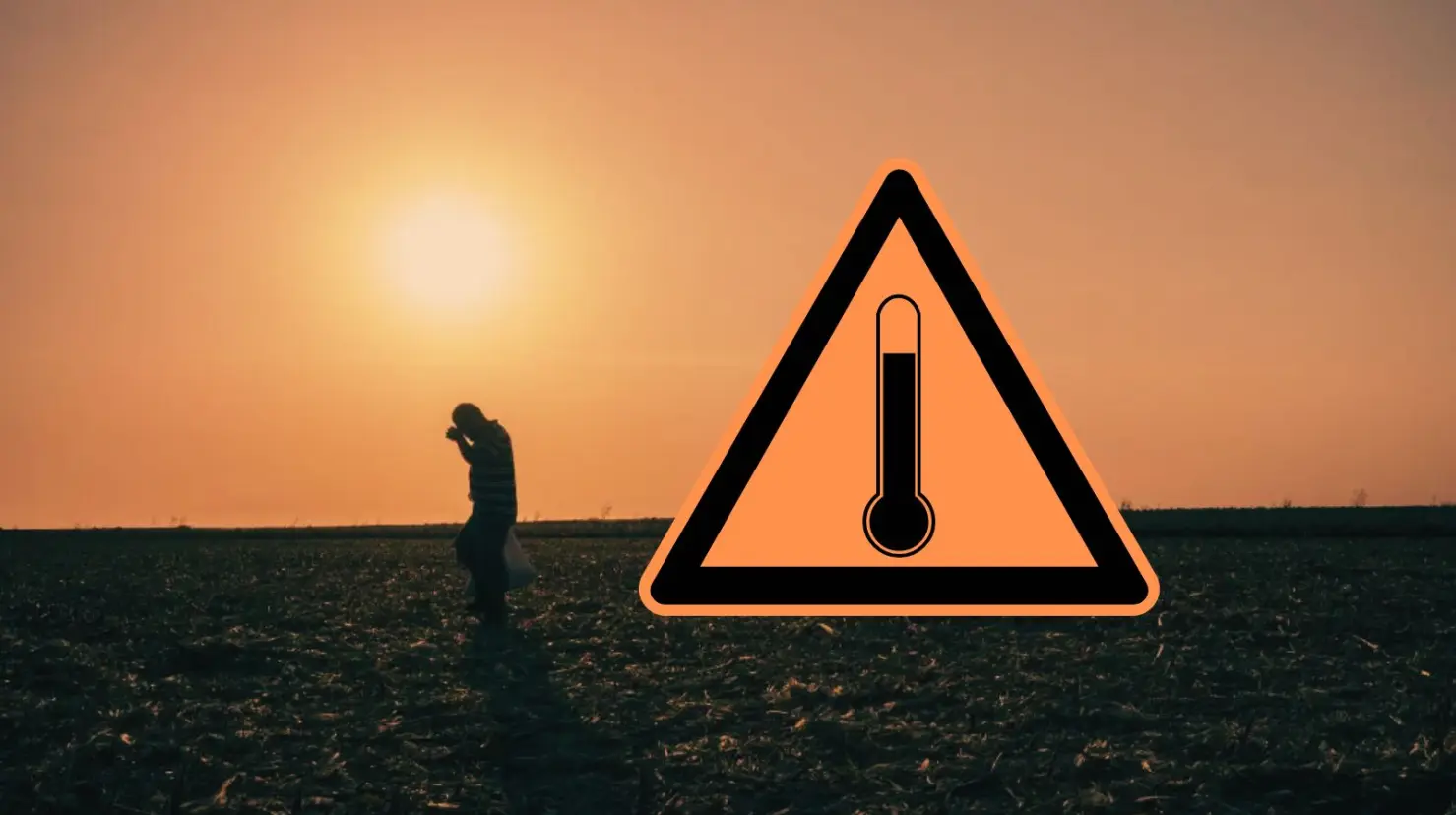 ¿Qué son las islas de calor que afectan a Hermosillo en esta temporada de verano?