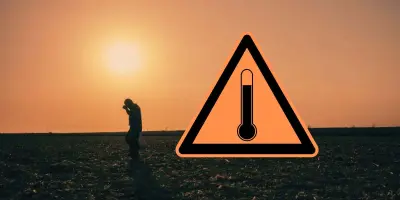 ¿Qué son las islas de calor que afectan a Hermosillo en esta temporada de verano?
