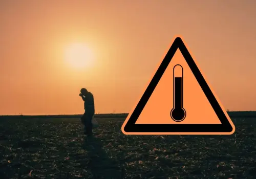 ¿Qué son las islas de calor que afectan a Hermosillo en esta temporada de verano?