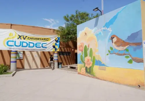 Cuddec anuncia fecha para campamento de verano en Obregón