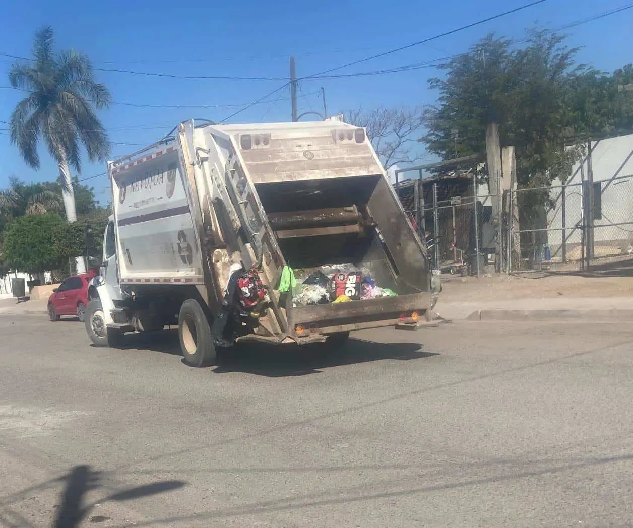 Faltan recolectores en Navojoa