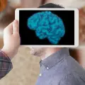 Este es el alimento que mejora la memoria y previene enfermedades neurodegenerativas