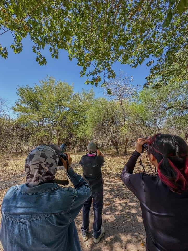 Reforzarán investigación en Reserva Natural de Álamos