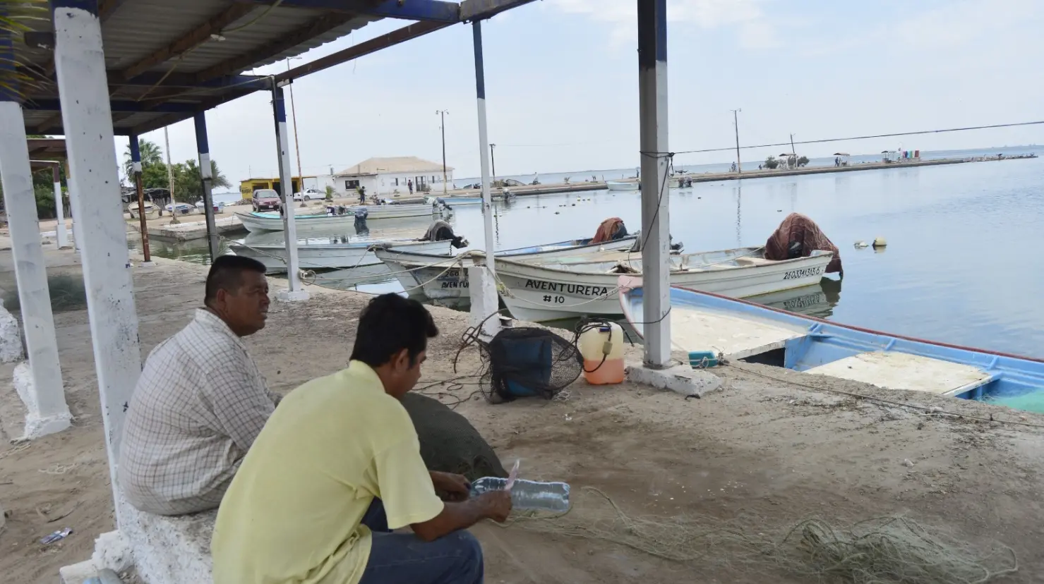 Pescadores buscan ser guías de turistas