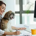Día Mundial de Llevar al Perro al Trabajo: ¿Cuál es el origen de esta celebración y cómo beneficia a los empleados?
