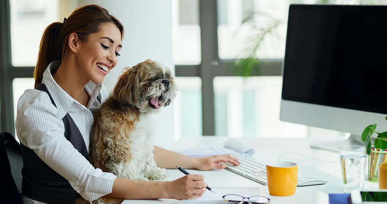 Día Mundial de Llevar a tu Perro al Trabajo. Fotos: Freepik.