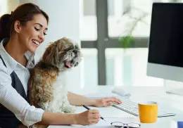 Día Mundial de Llevar al Perro al Trabajo: ¿Cuál es el origen de esta celebración y cómo beneficia a los empleados?