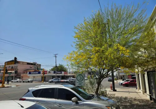 Una necesidad, asegurar futuro hídrico del sur de Sonora