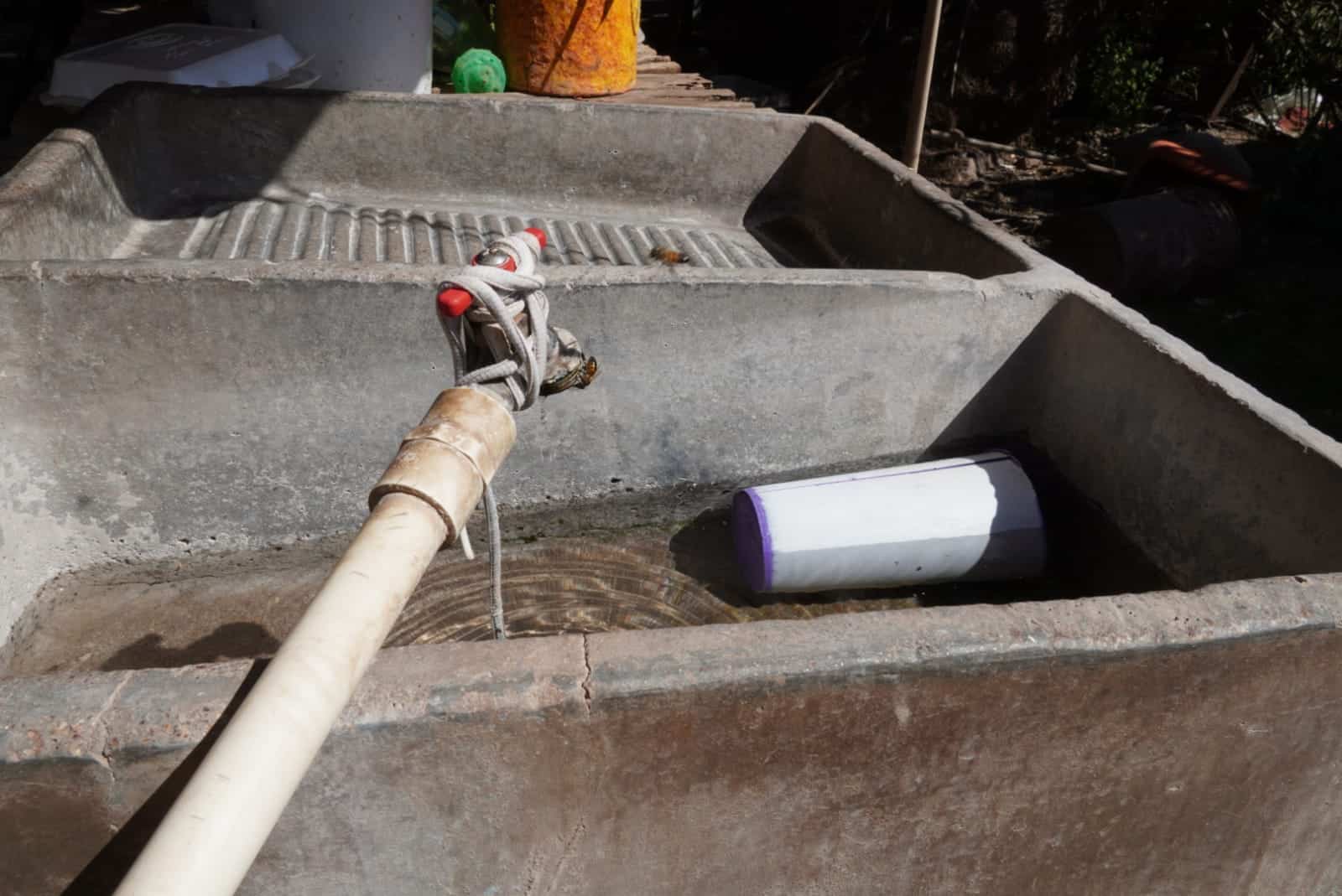Dengue: se presentan dos casos más en Sonora