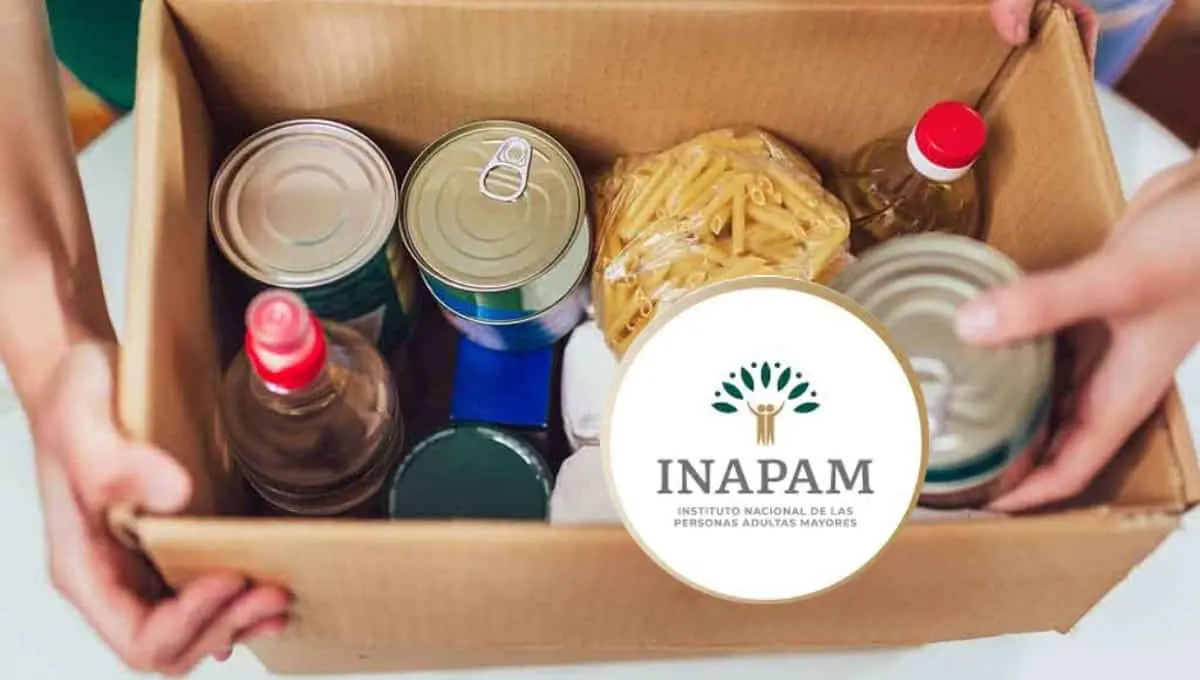 Así puedes obtener una despensa gratis con tu credencial del Inapam. Foto: Original