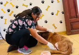 Recibirá Álamos Dog nuevo terreno
