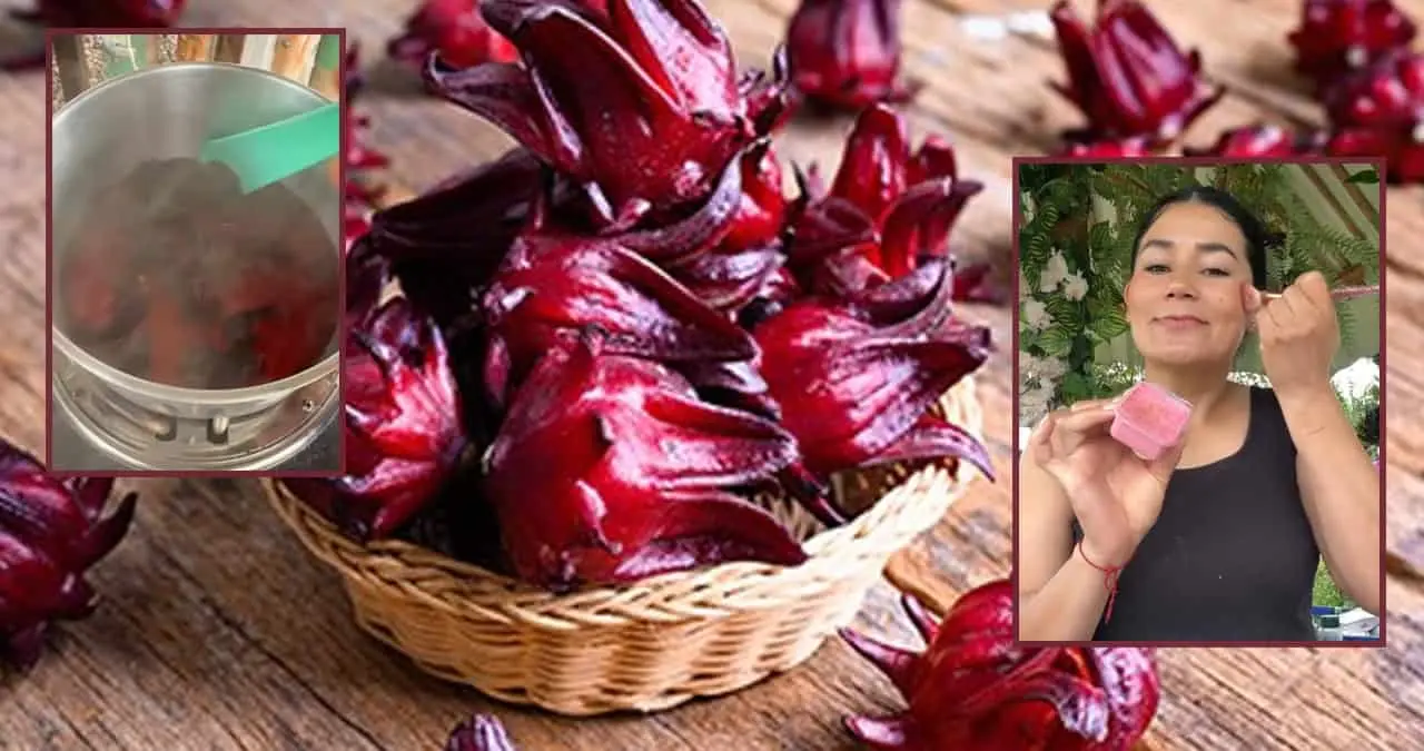 Rubor de flor de jamaica y maicena: la alternativa saludable para tu rutina de belleza |VIDEO