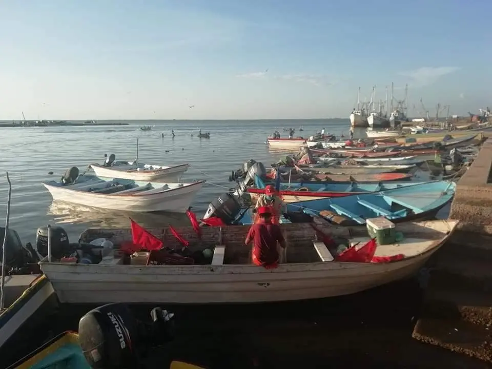 Pescadores del sur de Sonora buscarán apoyo en la CDMX