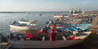 Pescadores del sur de Sonora buscarán apoyo en la CDMX
