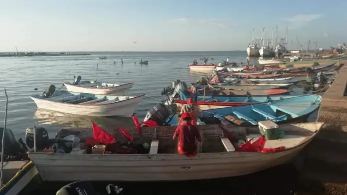 Pescadores del sur de Sonora buscarán apoyo en la CDMX Pescadores del sur de Sonora buscarán apoyo en la CDMX